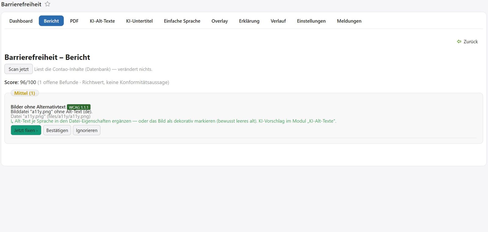 a11y Backend &mdash; Bericht